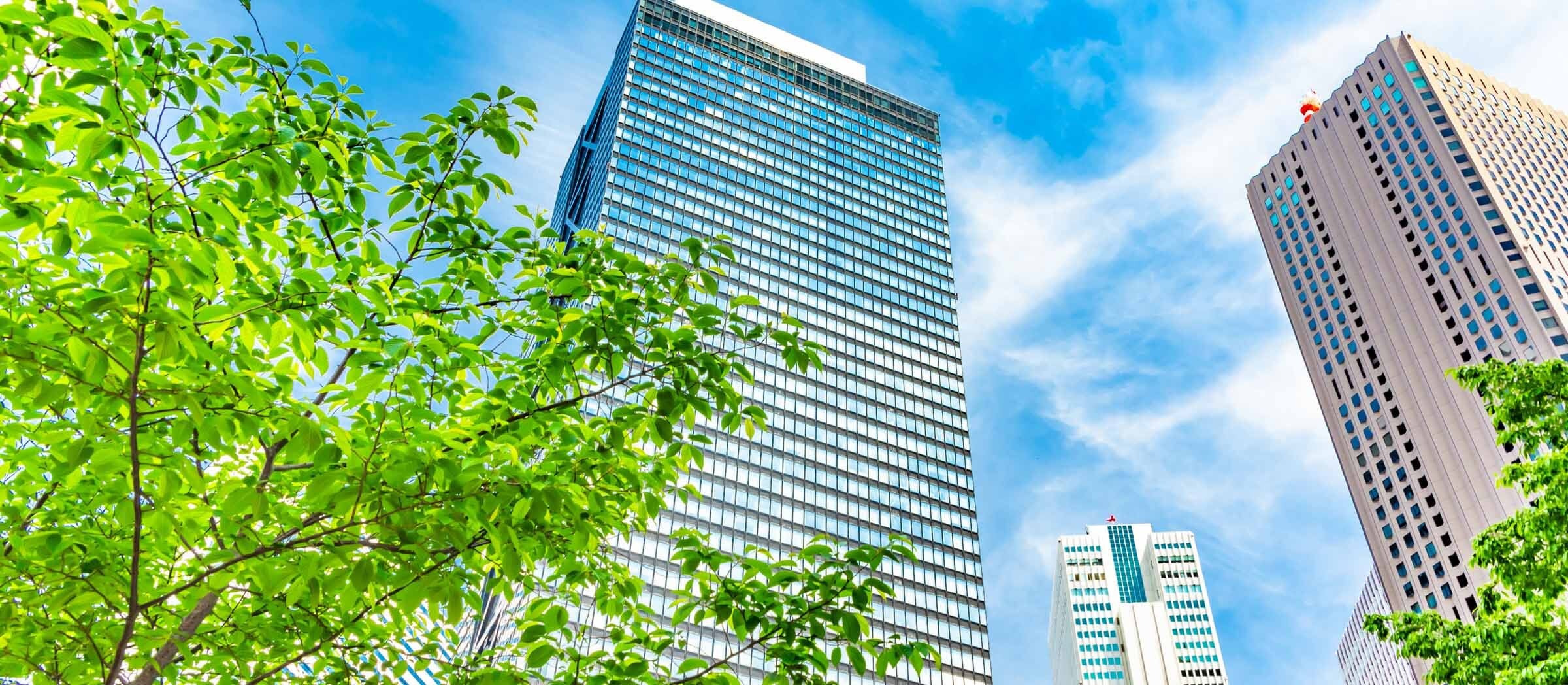事業内容